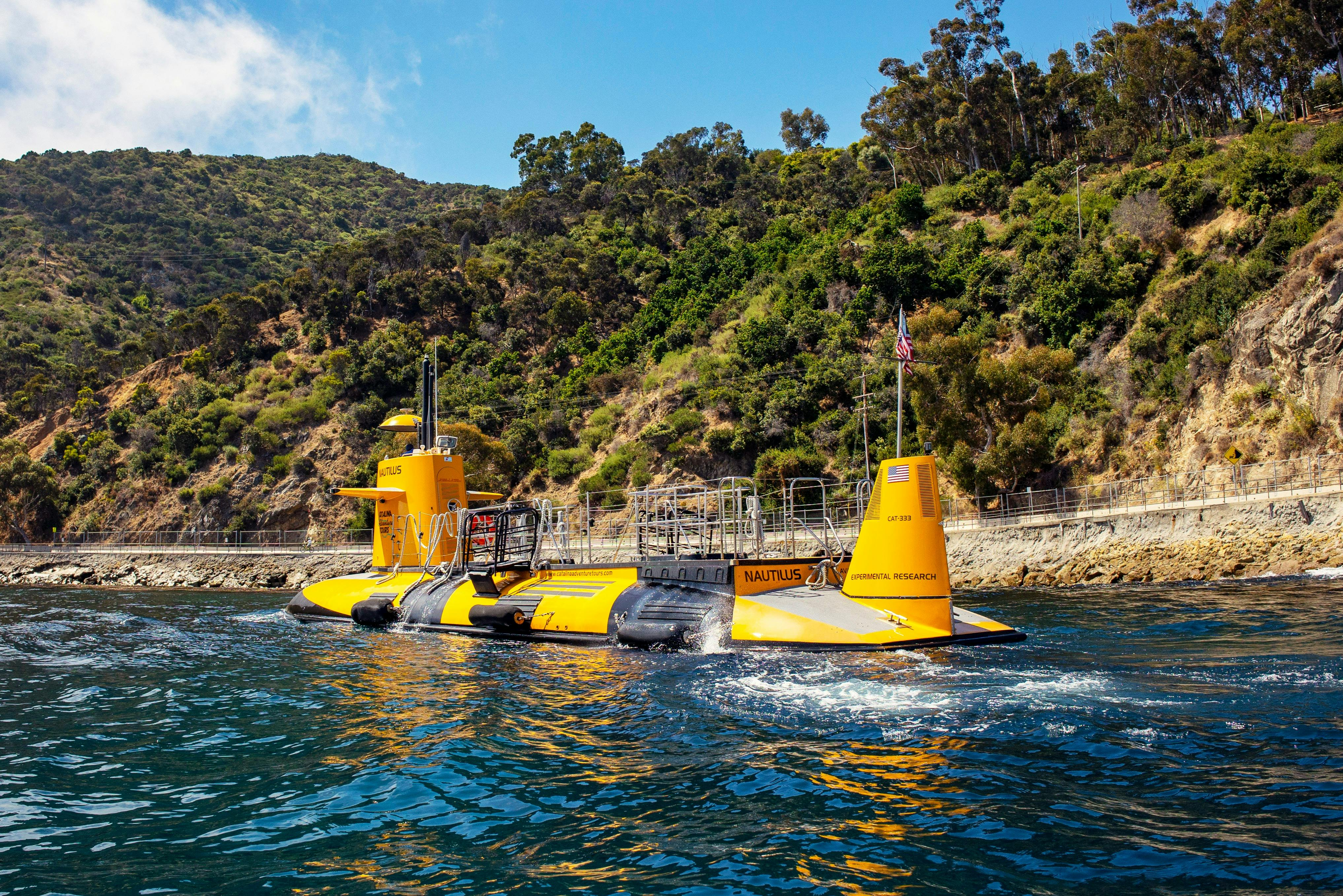 Los Angeles: Semi-Submarine Excursion from Catalina Island - Photo 1 of 6